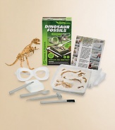 Aspiring paleontologists can fossilize, dig up, and reconstruct a dinosaur skeleton replica with this fascinating kit.Learn how fossils form, are excavated, and how dinosaur bones are pieced togetherRecreate the process of fossilization by burying your dinosaur bones in layers of plaster rock