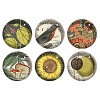 Dome shaped glass decoupage magnets are each 1.5 diameter. One set includes 6 magnets in a gift box.