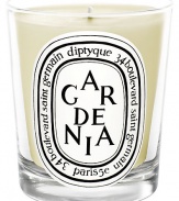 A great classic among white flowers, Gardenia gives off a delicious, feminine fragrance. This candle will be enjoyed by those who love white flowers like jasmine and tuberose.Floral 50-60 hours burn time Keep wick trimmed to ½ to ensure optimal use Hand poured and made in France 