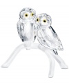 Day or night, these adorable owl figurines will shine on in faceted Swarovski crystal with wide, topaz-colored eyes and a matte crystal perch.