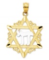 Honor your faith. This intricate charm features the Star of David in 14k gold, as well as a Chai symbol in sterling silver. Chain not included. Approximate length: 1-1/10 inches. Approximate width: 7/10 inch.