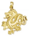 Symbolic for the universe, life, existence, and growth, this polished dragon charm makes a unique and special gift. Crafted in polished 14k gold. Chain not included. Approximate length: 9/10 inch. Approximate width: 7/10 inch.