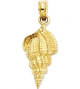 Seaside style. This sweet conch shell charm features a delightfully-detailed surface crafted in 14k gold. Approximate length: 9/10 inch. Approximate width: 4/10 inch.