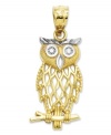 Grace your charm bracelet or necklace with this wise and beautifully cut owl charm. Set in 14k gold, its eyes, mouth and brows offer hints of gleaming sterling silver. Chain not included. Approximate drop length: 1 inch. Approximate drop width: 3/8 inch.