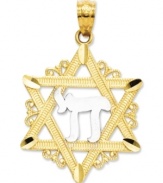 Honor your faith. This intricate charm features the Star of David in 14k gold, as well as a Chai symbol in sterling silver. Chain not included. Approximate length: 1-1/10 inches. Approximate width: 7/10 inch.