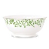 An instant classic from Kate Spade, the Gardner Street Green dinnerware collection is the definition of contemporary elegance. Green stems of foliage flourish on fine white bone china, creating a stylized two-tone floral motif to freshen up your table. Platinum edges add a touch of luxurious shine. Dishwasher safe.