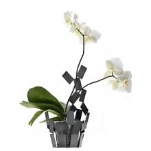 Designed by Mario Trimarchi for Alessi, this airy vase cover was created to chicly house orchids, providing support for the stems and water through transparent tubes. Designed by Mario Trimarchi for Alessi, this airy vase cover was created to chicly house orchids, providing support for the stems and water through transparent tubes.