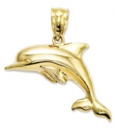 Make a splash with this darling dolphin charm. Crafted in 14k gold, this 3-dimensional charm looks like its jumping right out of the water. Approximate length: 8/10 inch. Approximate width: 9/10 inch.