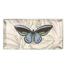 Small transferware, glass basket tray. Features a butterfly motif kiln-fired to glass. Small transferware, glass basket tray. Features a butterfly motif kiln-fired to glass.