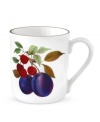 Ripe plums and red cherries add a sweet taste of summer to this Evesham mug, crafted of pristine porcelain with a lustrous gold rim by Royal Worcester.