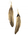 Don't be a featherweight. Knock 'em out in a shoulder-dusting style by RACHEL Rachel Roy. Graceful bird feathers in dyed gold and black create a dramatic look. Set in gold-plated mixed metal. Approximate drop: 6-1/4 inches.