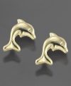 Make her heart jump at the sight of these luminous, 14k gold dolphin earrings.