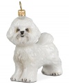 Lucky dog! Just begging for a home, this Bichon Frise ornament has puppy dog eyes and a beautiful coat in hand-painted glass by Joy to the World.